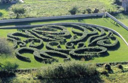 Le Jardin Sévigné 1996-1999, <p>Plantation de buis sempervirens rotondi foglia 47,5x35,5 mètres(1330m2)© ADAGP.<br class='autobr' />
Commande publique<br class='autobr' />
Il fut conçu à l'occasion des célébrations nationales du tricentennaire de la mort de la Marquise de Sévigné Chantal de Rabutin( 1626-1696). Le jardin a la forme d'un blason ; le nom SEVIGNE y est écrit sur sa surface dans une calligraphie dite"à l'anglaise" et s'inspire des tracés "en broderie" de Le Nôtre. L'écriture définit la plantation des buis et la déambulation piétonne. L'entretien et la taille des arbustes, suivant la technique de "l'art topiaire" oriente la forme du jardin au fil des années. La frondaison devra laisser voir une masse végétale bombée, ne laissant plus apparaître le nom couché sur le sol, la circulation restera identique, mais cette fois-ci le promeneur sera abrité par un ciel végétal au milieu des troncs de buis. Ce jardin est une métaphore du ventre de la mère et de la fille Françoise-Marguerite de Grignan, èpouse de François Adhémar de Monteil comte de Grignan. La relation complexe des deux femmes a décidé de la forme en dédale de ce jardin. Leurs présences souveraines et sousterraines aux activités touristiques de Grignan, qui vit le nom Sévigné comme sa signature, sont les raisons de cette sculpture végétale. Elle sera véritablement achevée et visible seulement dans quelques dizaines d'années ! F.V</p>